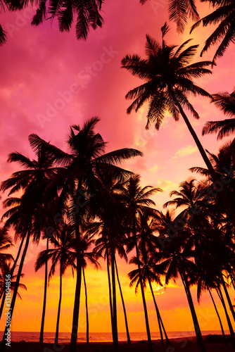 Palm trees silhouettes on tropical beach at vivid sunset time