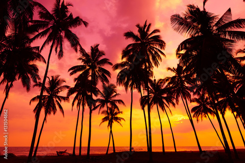 Fototapeta Naklejka Na Ścianę i Meble -  Palm trees silhouettes on tropical beach at vivid sunset time