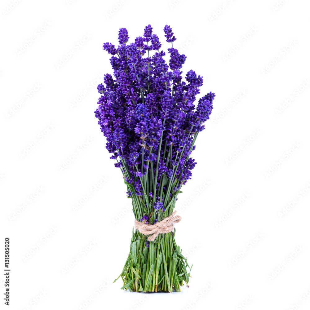 Fototapeta premium Lavender bouquet standing on white table, isolated