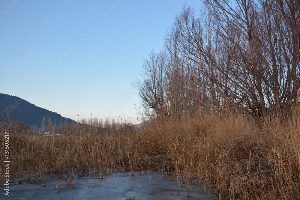 Obraz premium Lakeside