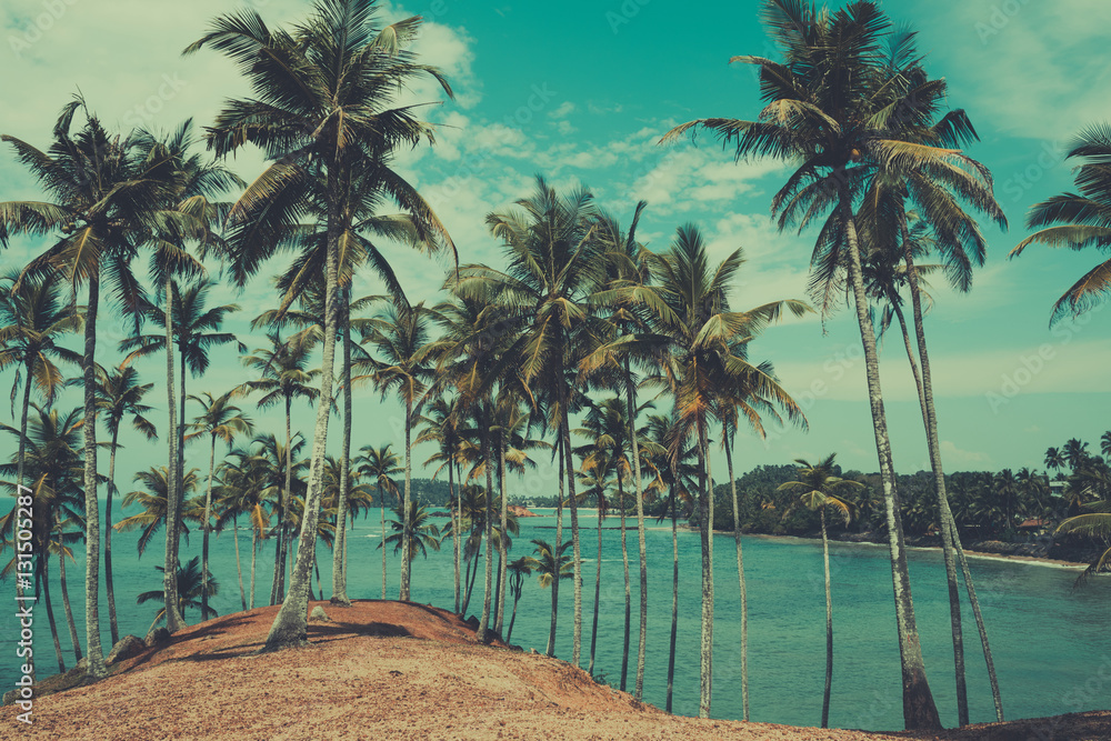 Fototapeta premium Palm trees on tropical beach, vintage toned and retro color stylized