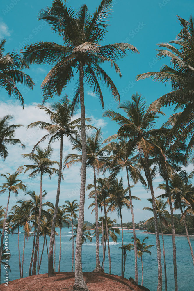 Fototapeta premium Palm trees on tropical beach, vintage toned and retro color stylized