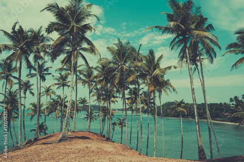 Palm trees on tropical beach, vintage toned and retro color stylized