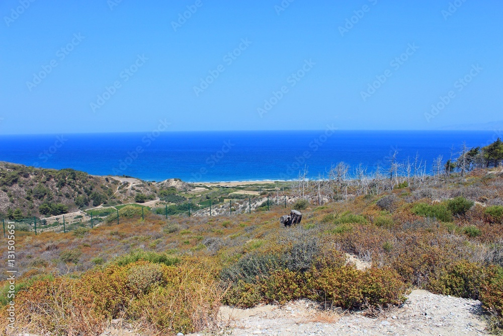 Rhodes, site archéologique de Kamiros