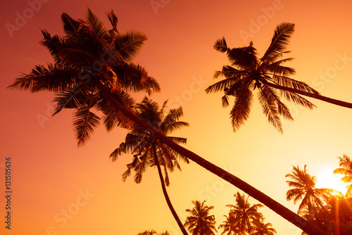 Palm trees silhouettes on tropical beach at summer warm vivid sunset time © nevodka.com