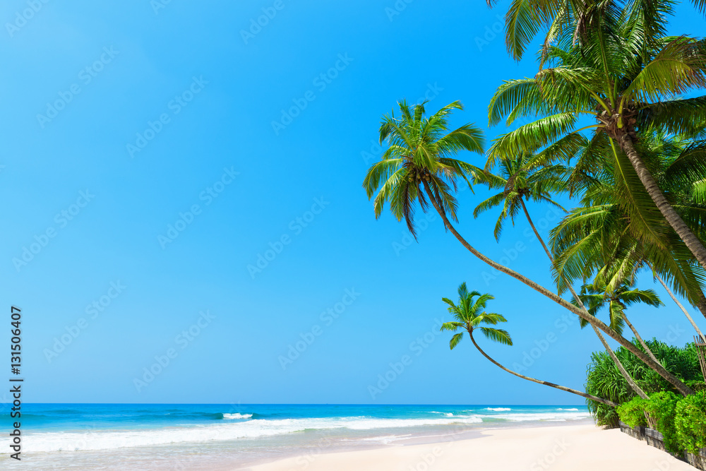 Beautiful tropical beach with coconut palm trees, idyllic clean ocean white sand and clear blue sky at sunny summer day on luxury remote resort
