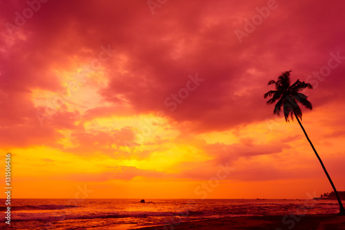 Fototapeta Naklejka Na Ścianę i Meble -  Palm tree silhouette on tropical beach at sunset