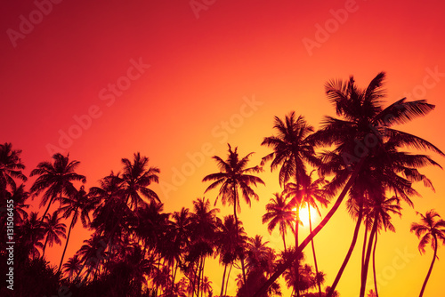 Palm trees silhouettes on tropical ocean beach at summer warm vivid sunset time with clear sky and sun circle with rays © nevodka.com