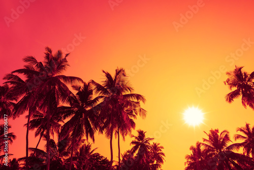 Palm trees silhouettes on tropical beach at summer warm vivid sunset time with clear sky and sun circle with rays