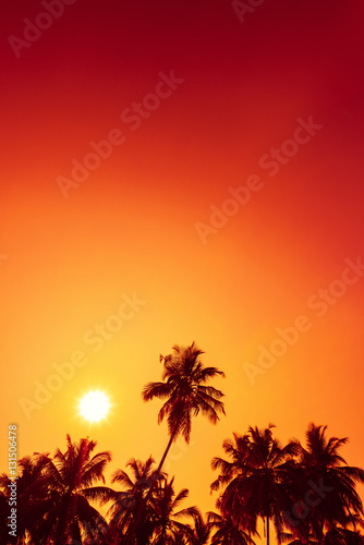 Palm trees silhouettes on tropical beach at summer warm vivid sunset time with clear sky as copy space and sun circle with rays