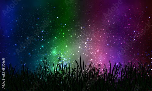 grass on the background of cosmic night sky