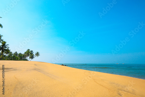 Beautiful beach on tropical island with coconut palm trees and clean sand at clear sunny summer day