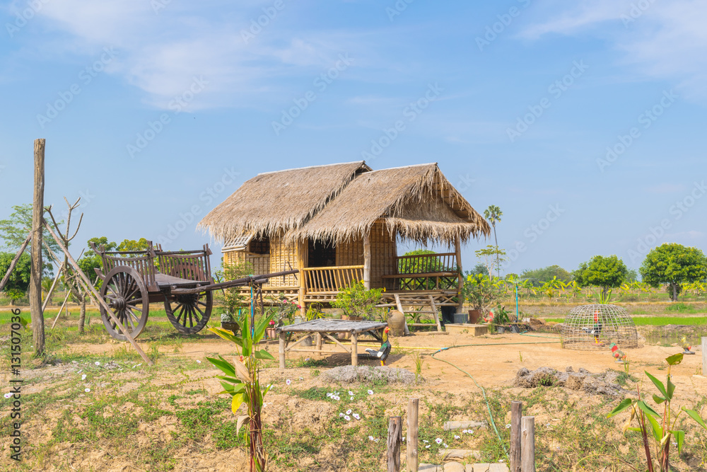 Outdoor countryside meadow grass nature. Background photography of countryside, natural landscape. Agricultural concept.