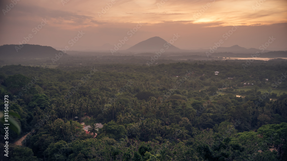 Sri Lanka: Danbulla National Park at the sunset
