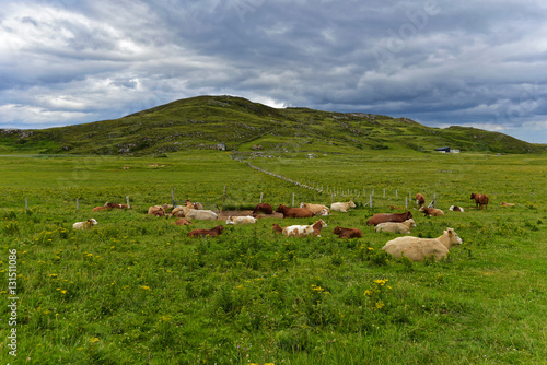 Iralnd - Wandern auf der Rosguill-Halbinsel photo