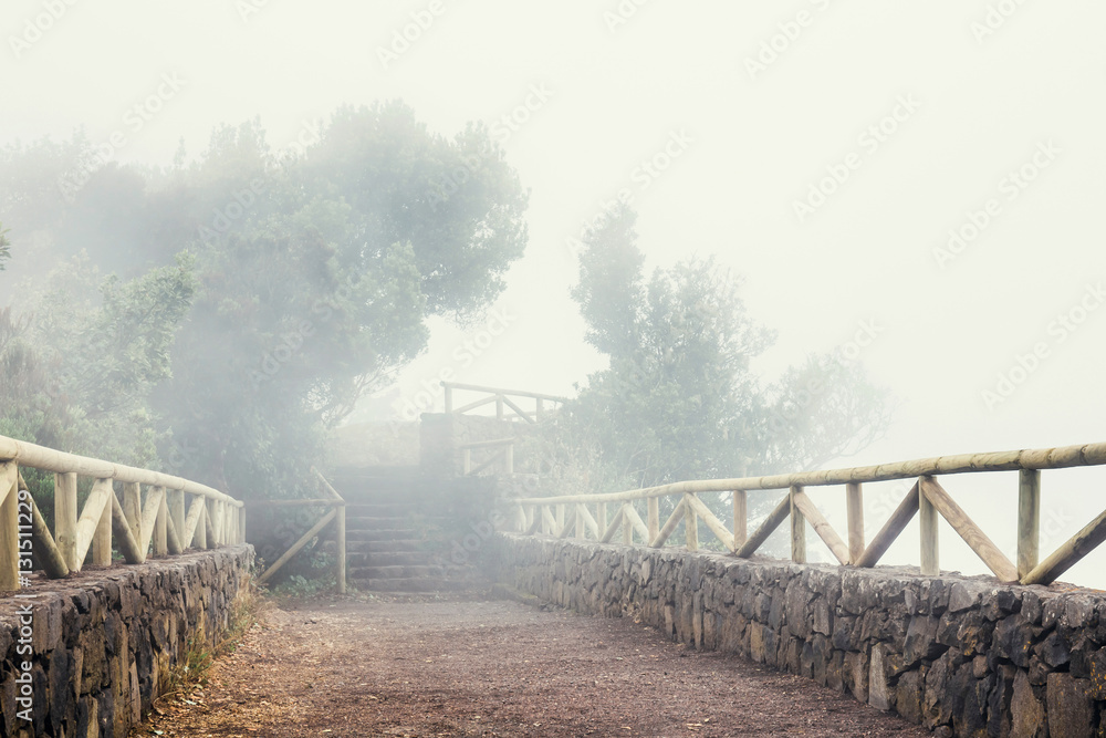 mountain trail in the foggy day, Tenerife mountain trail in the foggy day, Tenerife