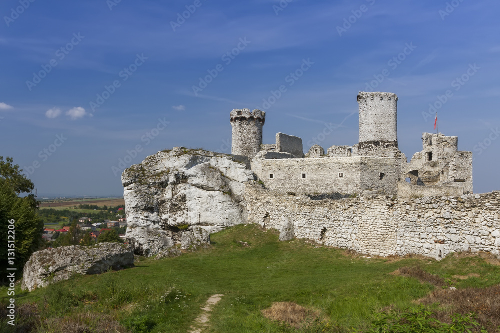Ruins of the castle Ogrodzieniec - Poland