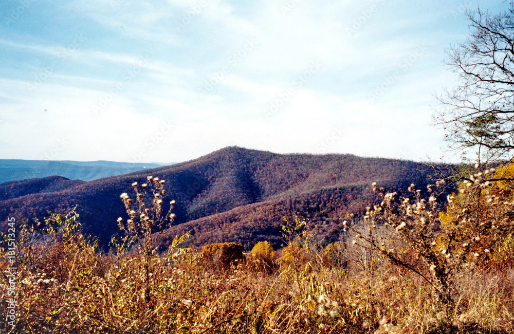 Fototapeta premium Shenandoah autumn landscape 2000