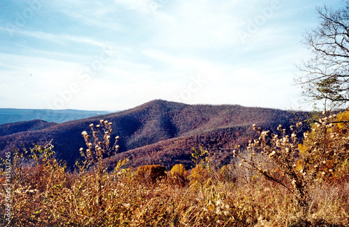Shenandoah autumn landscape 2000