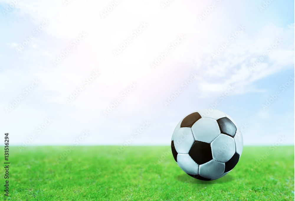 Fototapeta premium Soccer.