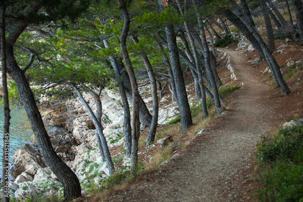 Obraz premium Beautiful landscape in Park Osejava near Makarska, Croatia