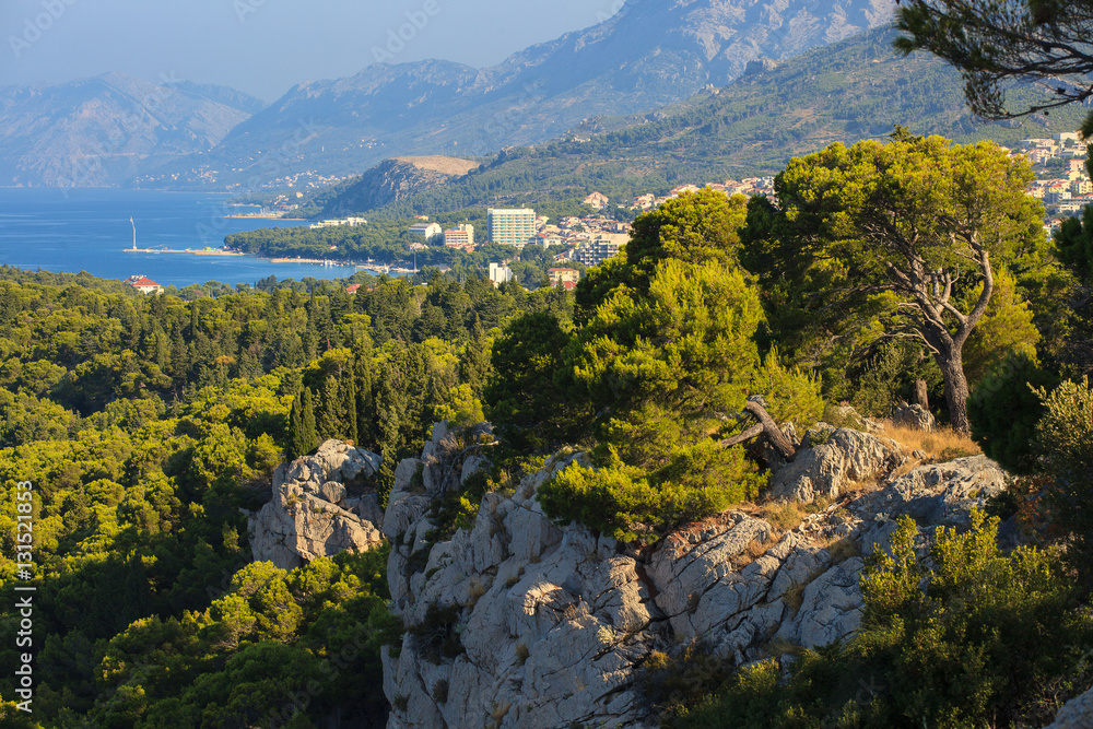 Obraz premium Beautiful landscape in Park Osejava near Makarska, Croatia