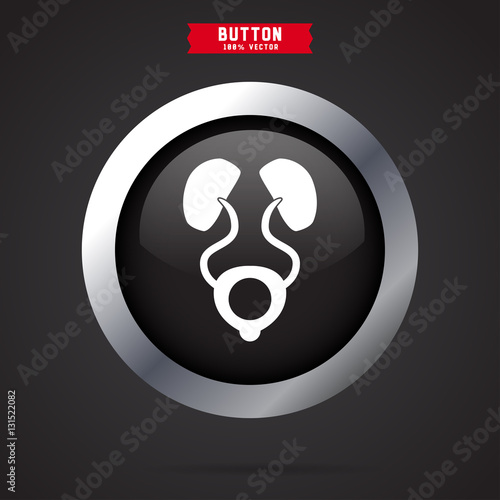 kidneys icon design