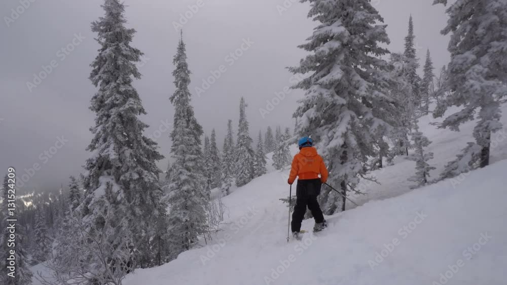 Woman skier goes down from top of snow mountain between trees on skis against the background snow-covered valley Woman skier goes down from top of snow mountain between trees on skis against the background snow-covered valley