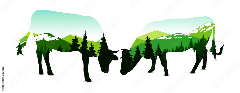 Obraz premium Silhouette of two cows with panorama of mountains. Snowy peaks. Natural shades.