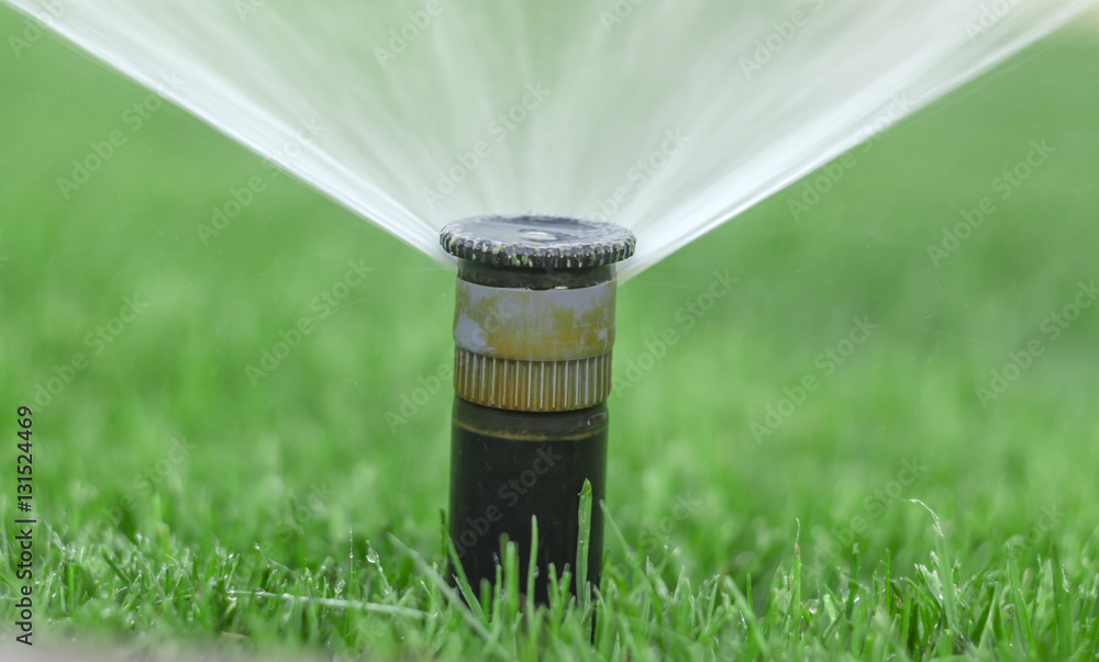 automatic sprinkler system watering the lawn on a background of green grass  Stock-Foto | Adobe Stock