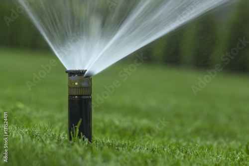 automatic sprinkler system watering the lawn on a background of green grass photo