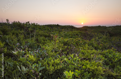 Sonnenaufgang in malerischer Landschaft
