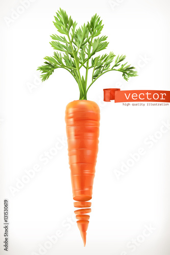 Carrot. Vegetable 3d vector icon