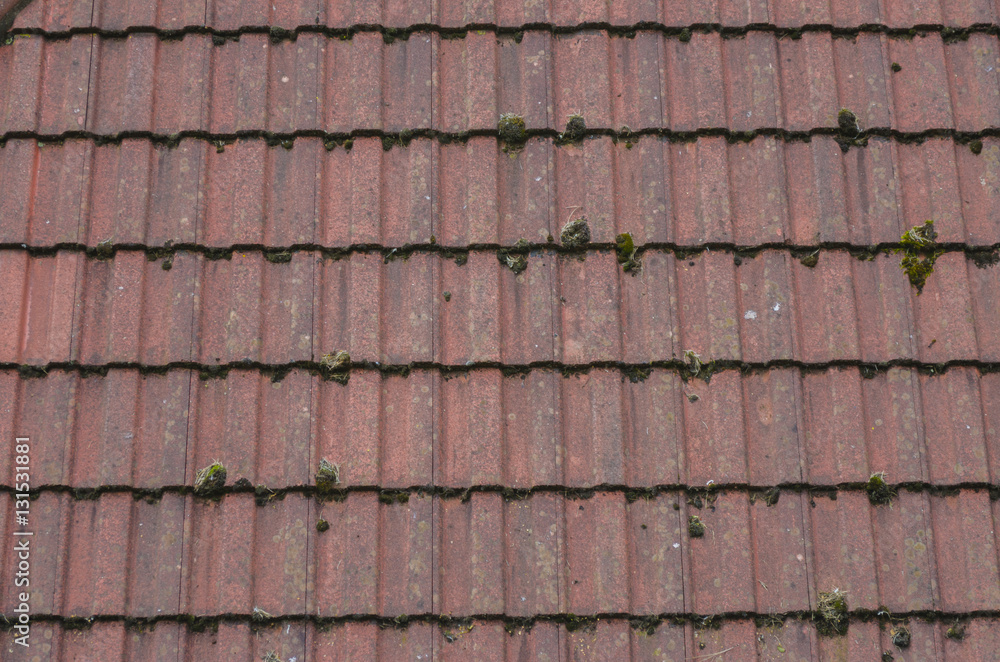 Detailed view of terracota coloured roofing tiles Detailed view of terracota coloured roofing tiles