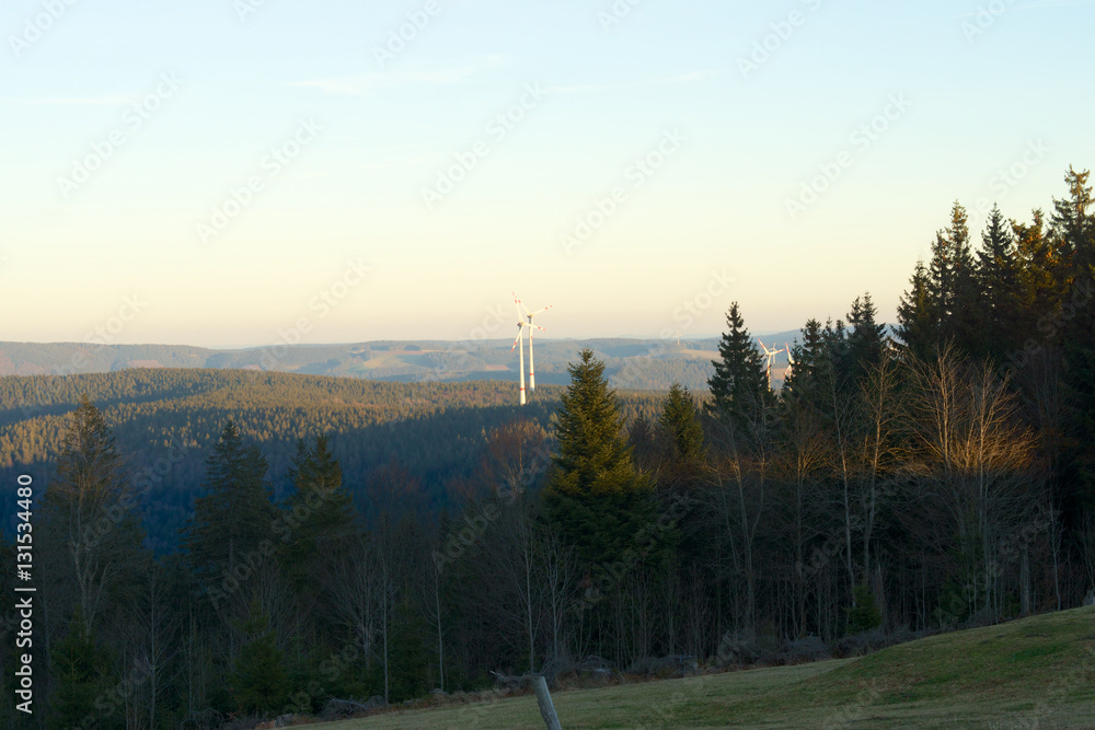 Blick vom Kandel im Schwarzwald StockFoto Adobe Stock