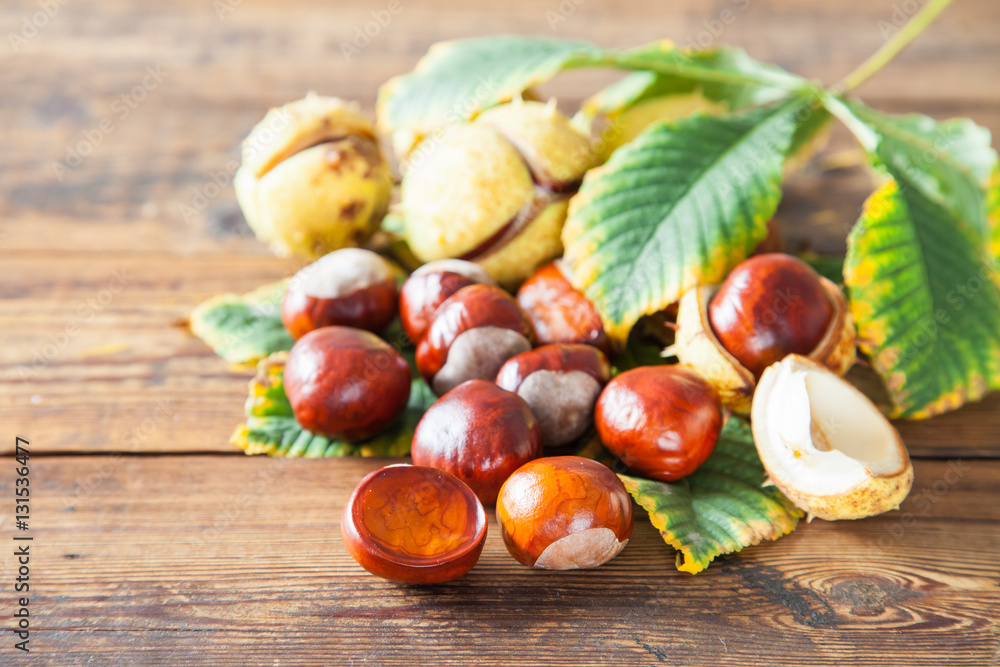 chestnut on an old wooden background, style rustic, selective focus chestnut on an old wooden background, style rustic, selective focus