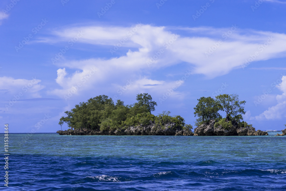 Fototapeta premium ロック・アイランドのサンゴ礁の海