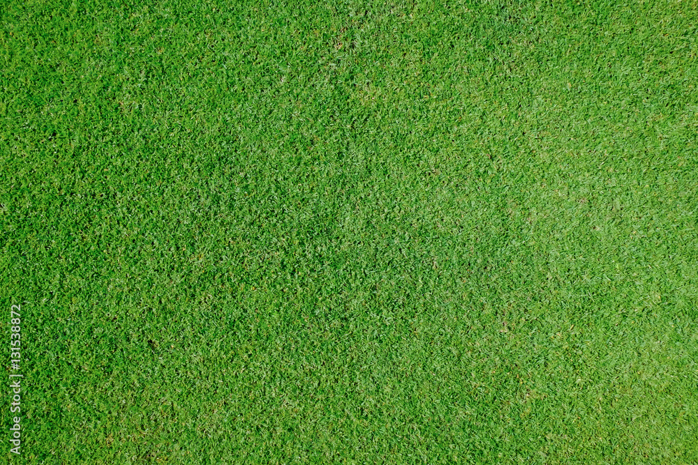 Naklejka green grass background
