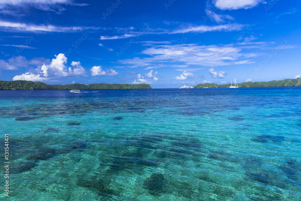 Fototapeta premium コロール島の美しい海