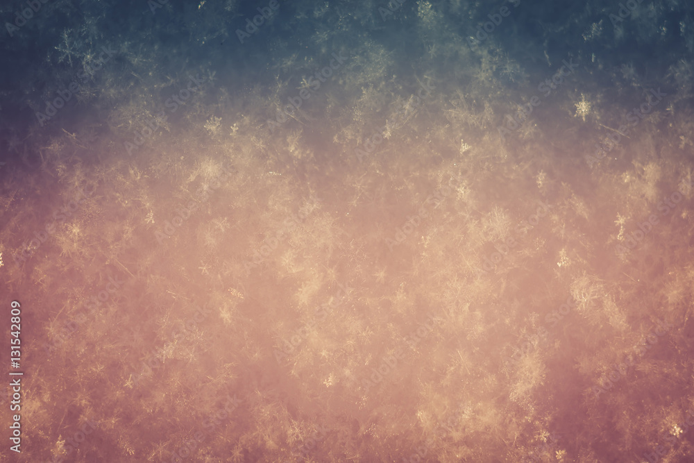 Fototapeta premium Fresh Snow Macro Retro