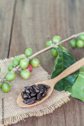 Fresh coffee beans on wood