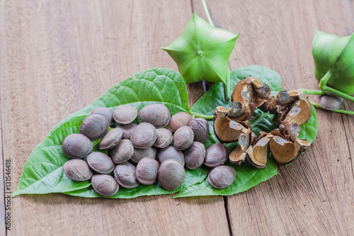 dried capsule seeds fruit of Sacha Inchi peanut photo