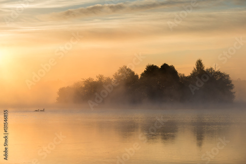 tranquil sunrise lake with fog