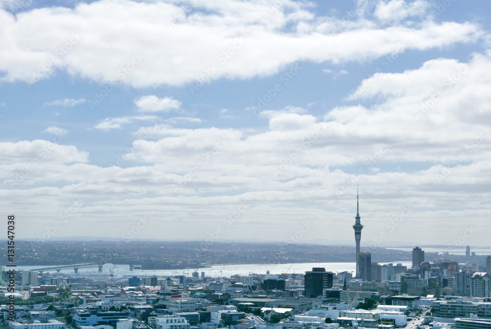 Fototapeta premium オークランドの街並み