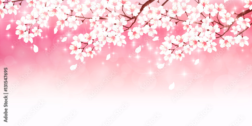桜　春　花　背景