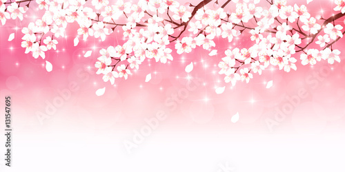桜 春 花 背景