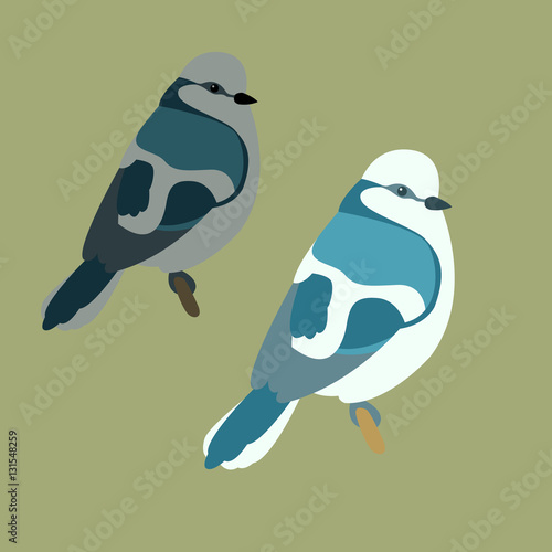 tit vector illustration style Flat