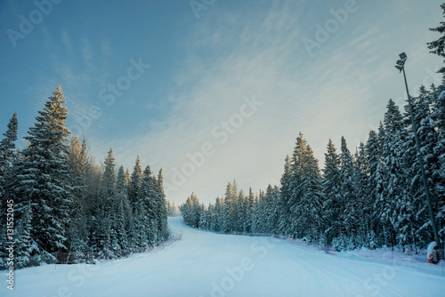 Ski trail in the winter snowy forest