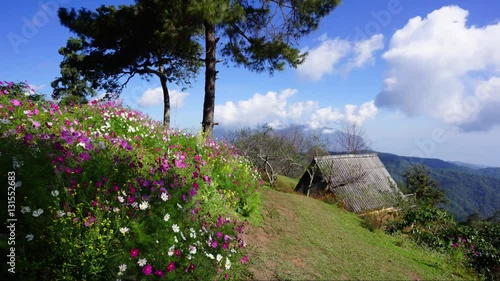 Timelapse of Mae Ta Man valley, Mae Na, Chiang Dao District, Chiang Mai. Thailand. Best view point of Chiang Dao Mountain. Famous place in Chiang Mai.