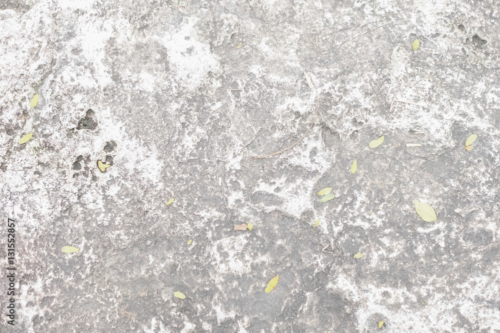 Obraz premium Abstract cement floor texture background